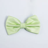 LIME GREEN TEXTURED BOW TIE